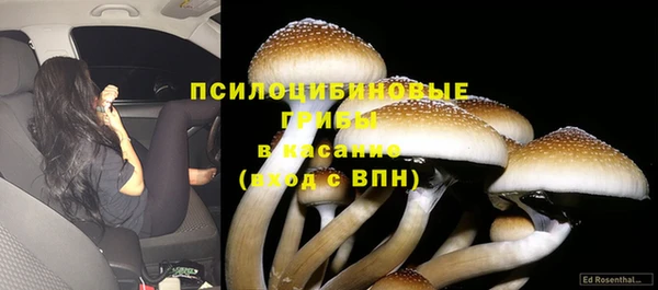 прущая мука Осинники