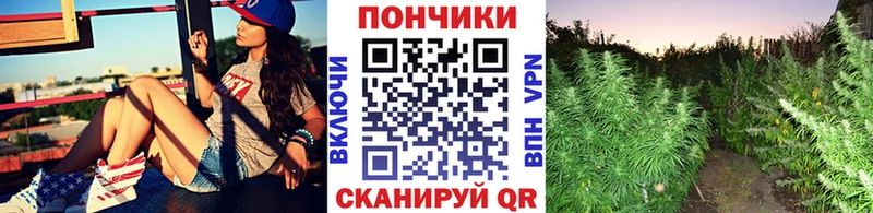 Марихуана Amnesia где продают Оханск